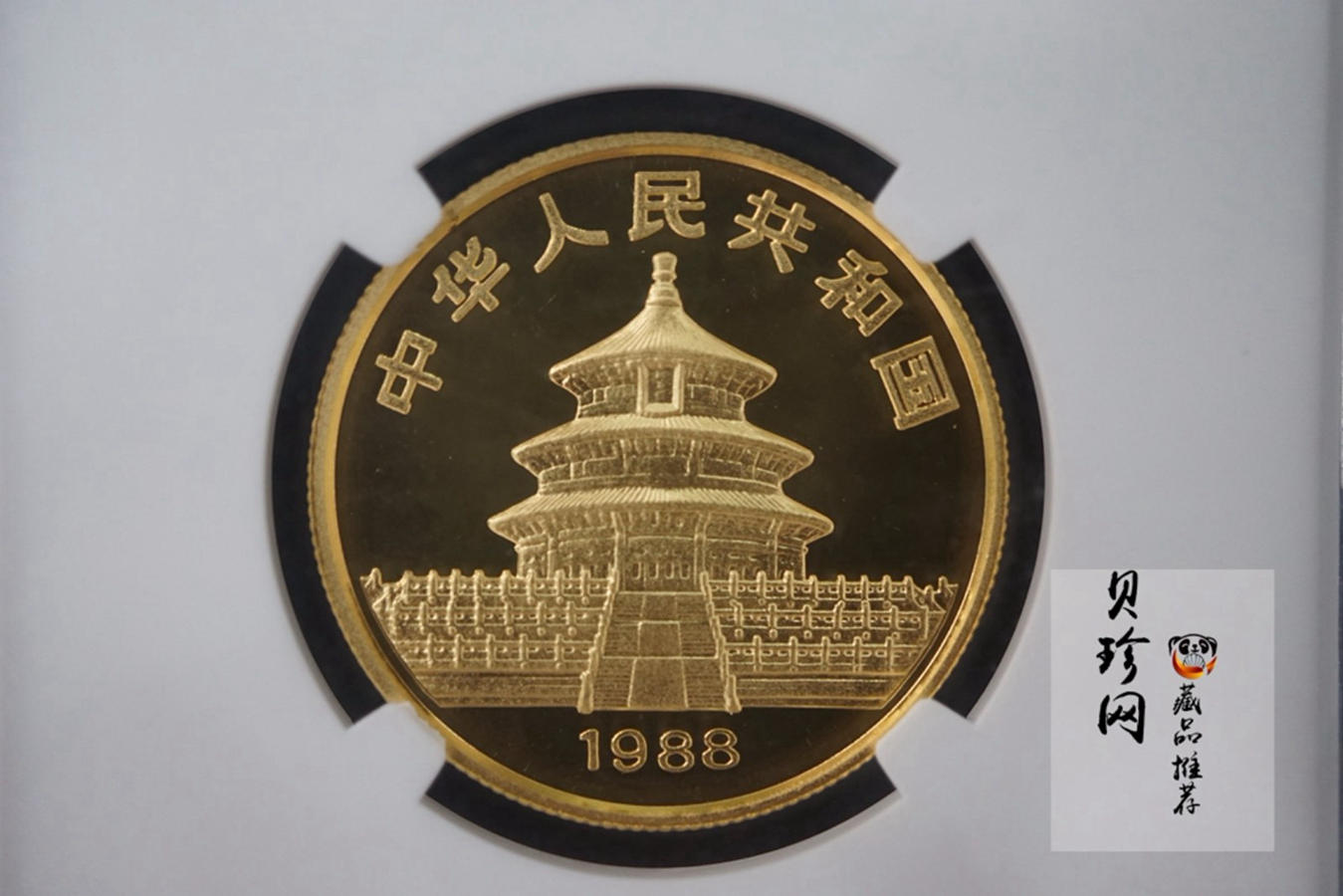 【889010】1988年熊猫普制金币五枚一套