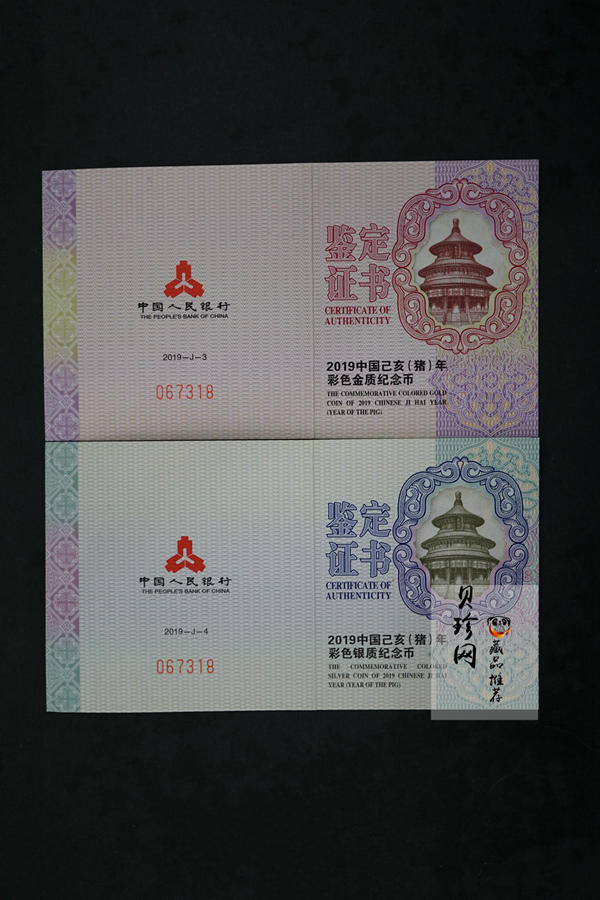 【199050】2019中国己亥（猪）年生肖精制彩金银币2枚一套