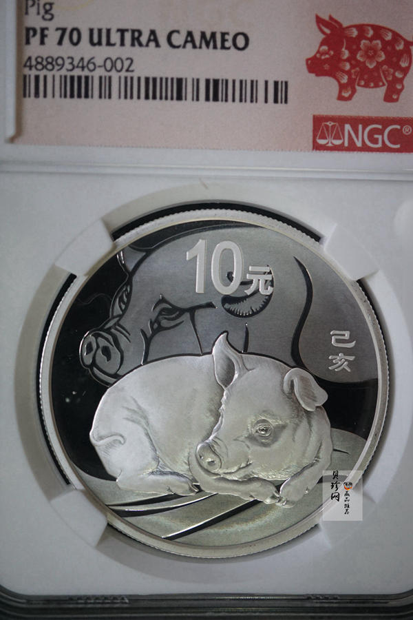 【199080】2019年中国己亥（猪）年本色金银币