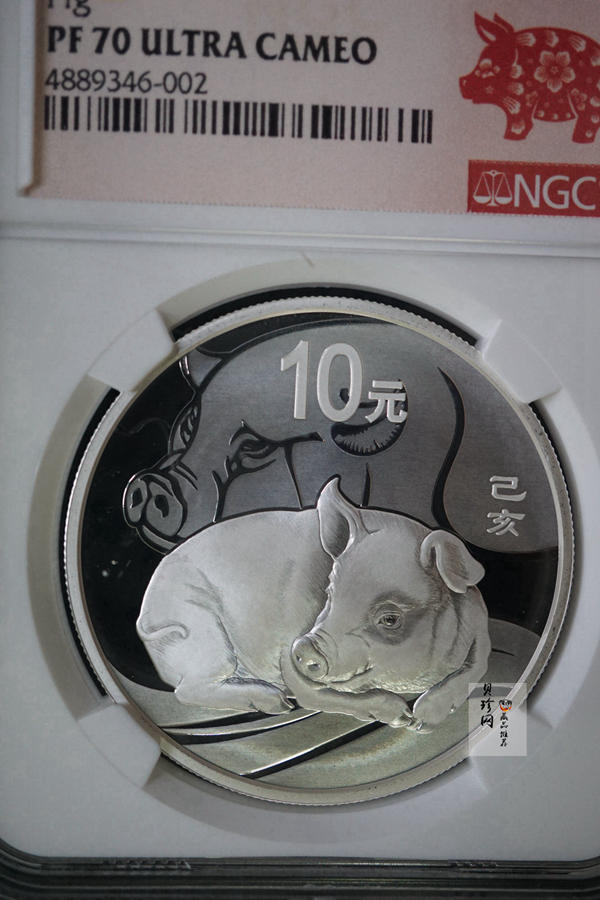 【199080】2019年中国己亥（猪）年本色金银币
