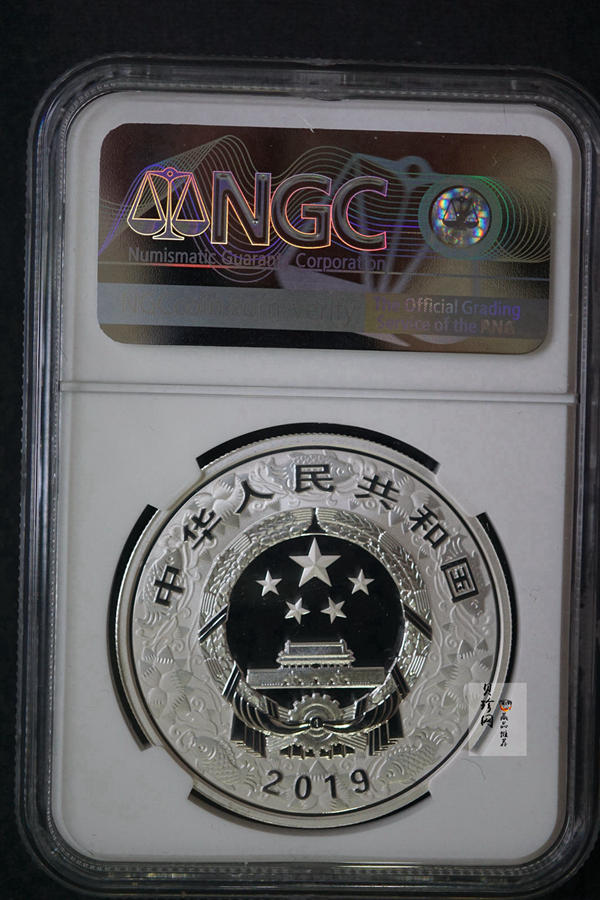 【199080】2019年中国己亥（猪）年本色金银币