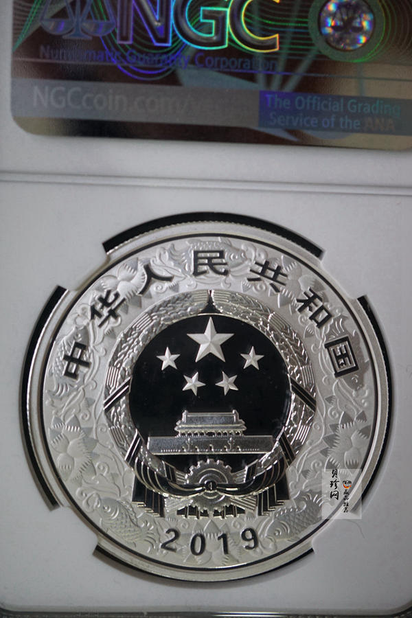 【199080】2019年中国己亥（猪）年本色金银币
