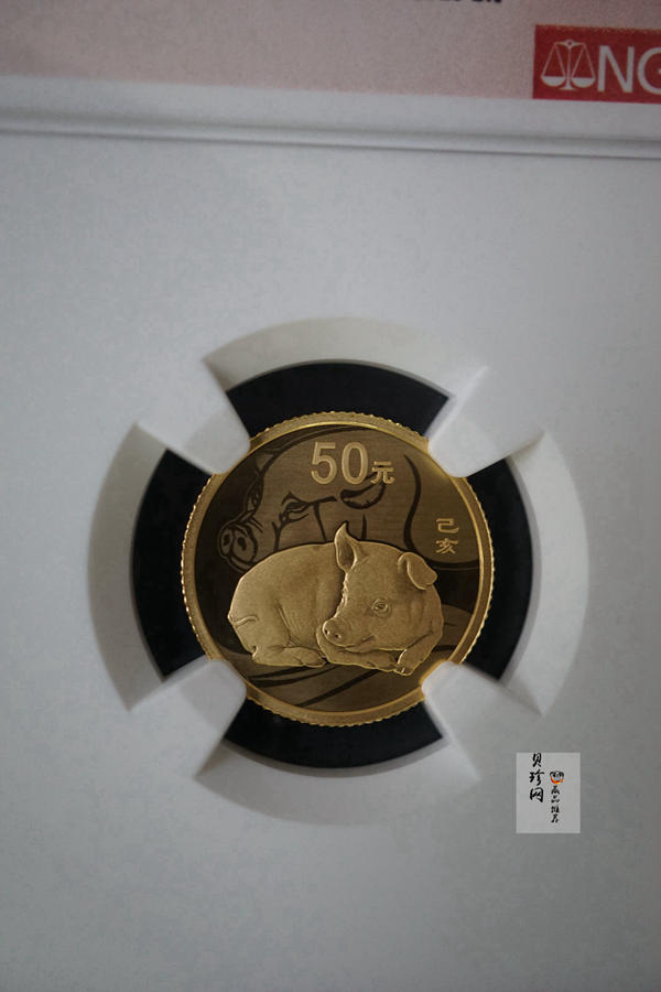 【199080】2019年中国己亥（猪）年本色金银币