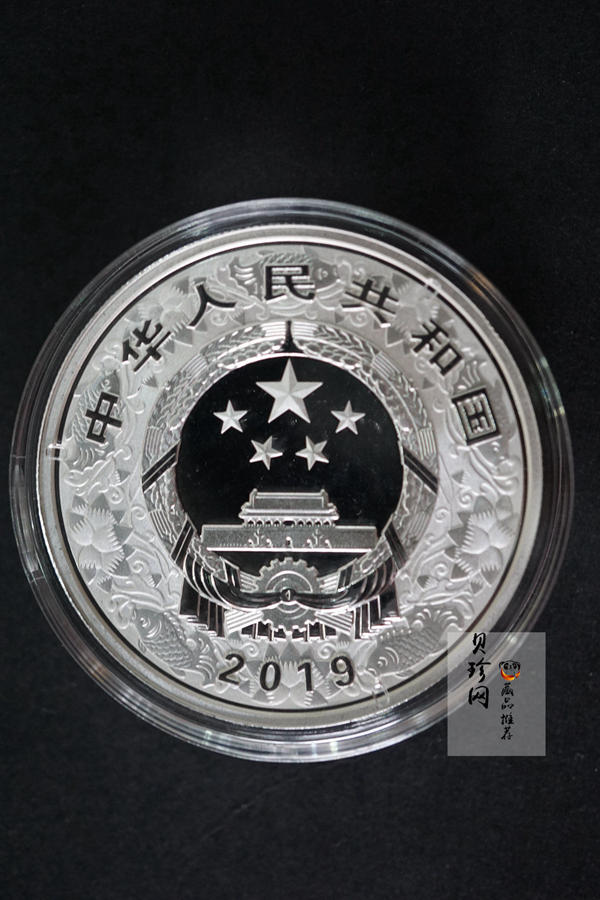 【199080】2019年中国己亥（猪）年本色金银币