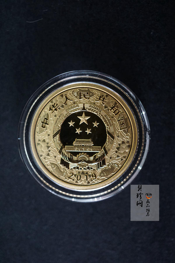 【199080】2019年中国己亥（猪）年本色金银币
