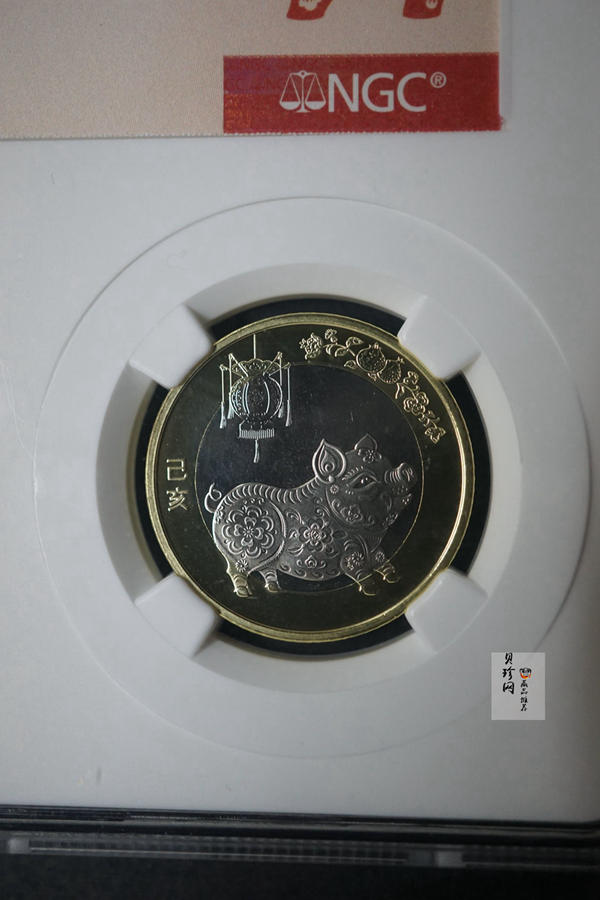 【199300】2019年贺岁3元福字银币+猪年流通币套装