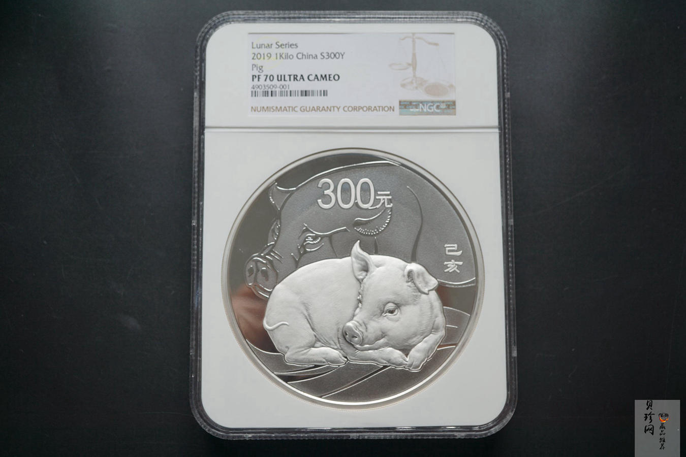 【194712】2019年中国己亥（猪）年金银纪念币1公斤圆形银币