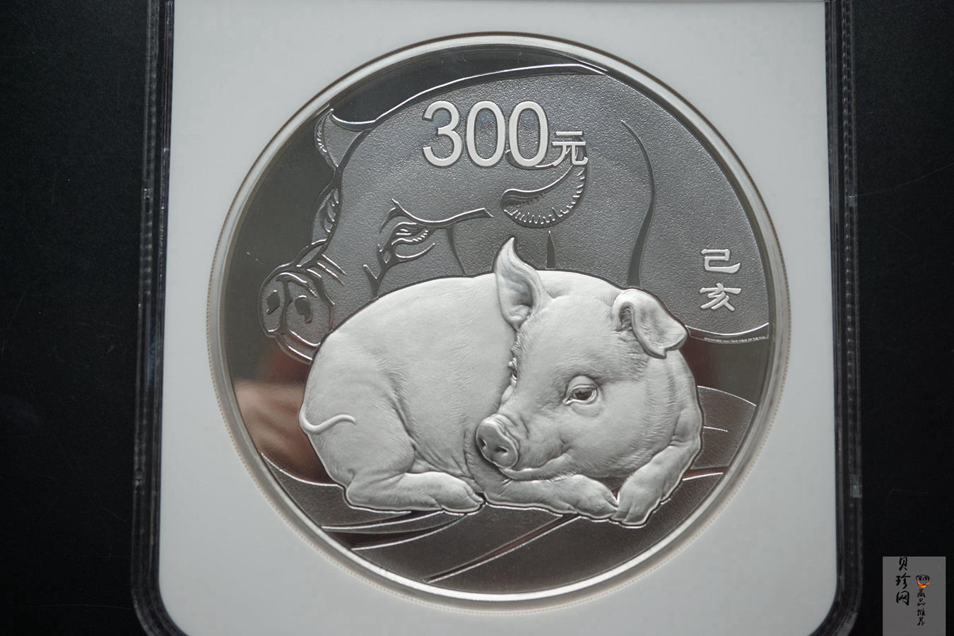 【194712】2019年中国己亥（猪）年金银纪念币1公斤圆形银币