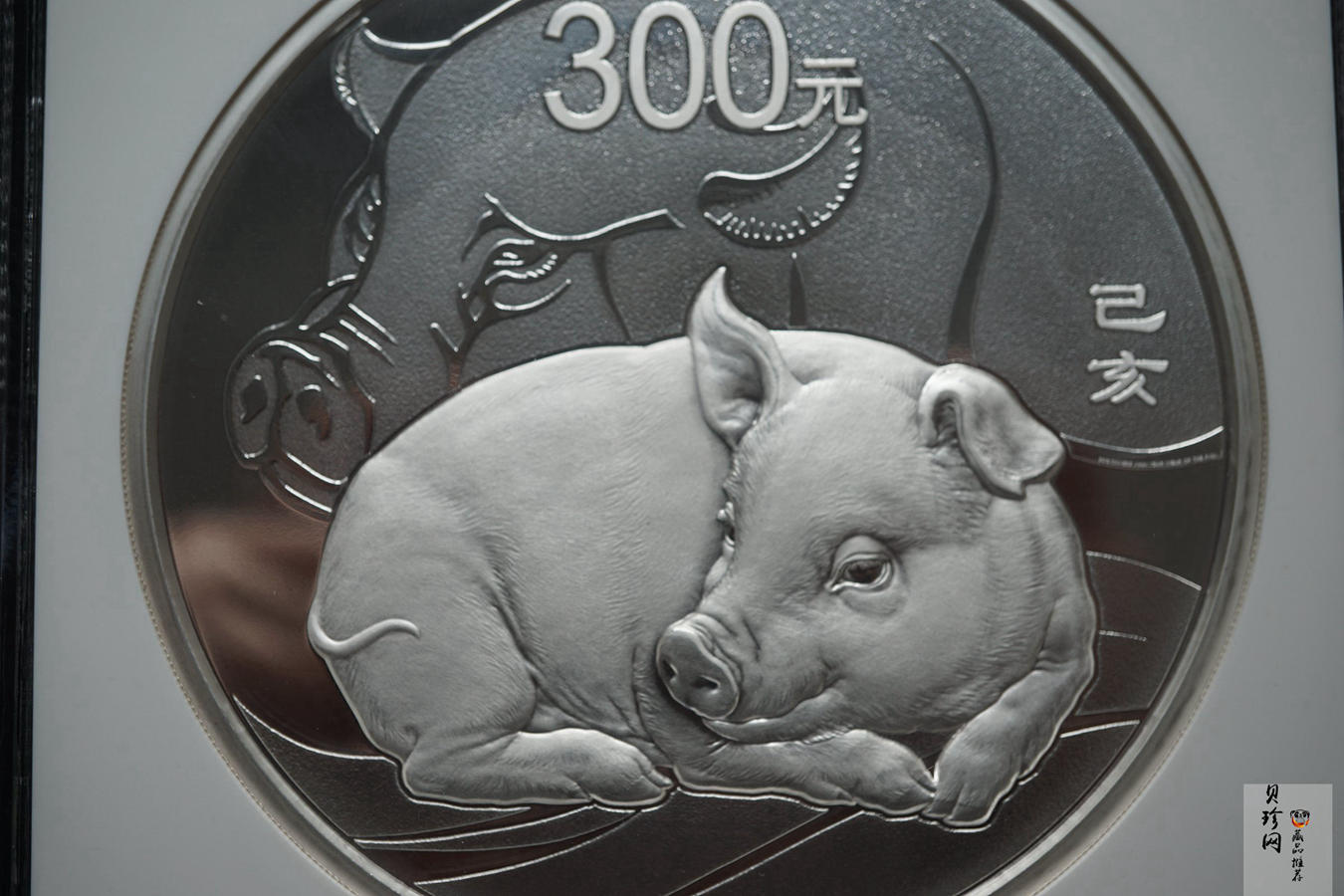 【194712】2019年中国己亥（猪）年金银纪念币1公斤圆形银币