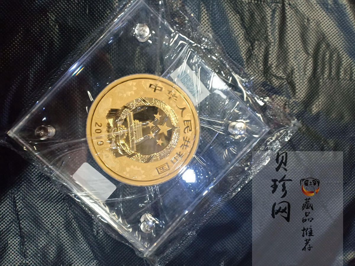 【191120】2019中国己亥（猪）年金银纪念币500克圆形金币