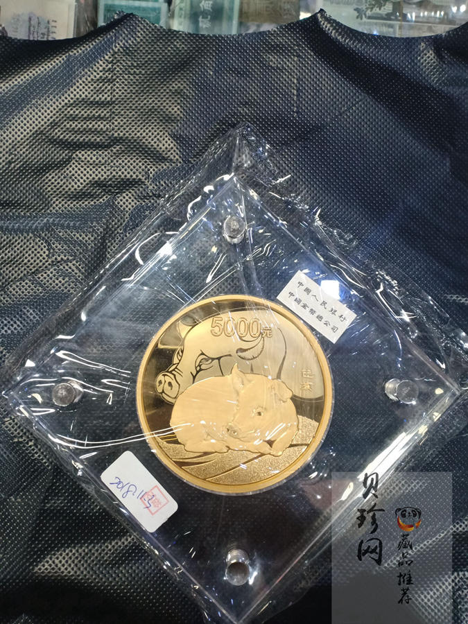【191120】2019中国己亥（猪）年金银纪念币500克圆形金币