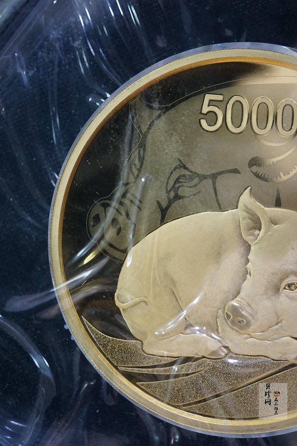 【191120】2019中国己亥（猪）年金银纪念币500克圆形金币