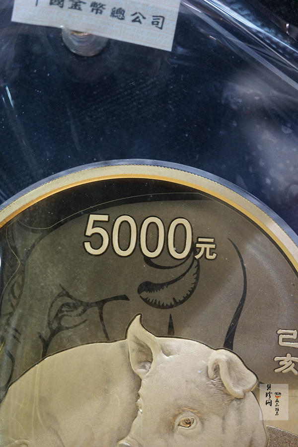 【191120】2019中国己亥（猪）年金银纪念币500克圆形金币