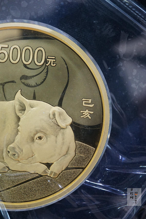 【191120】2019中国己亥（猪）年金银纪念币500克圆形金币
