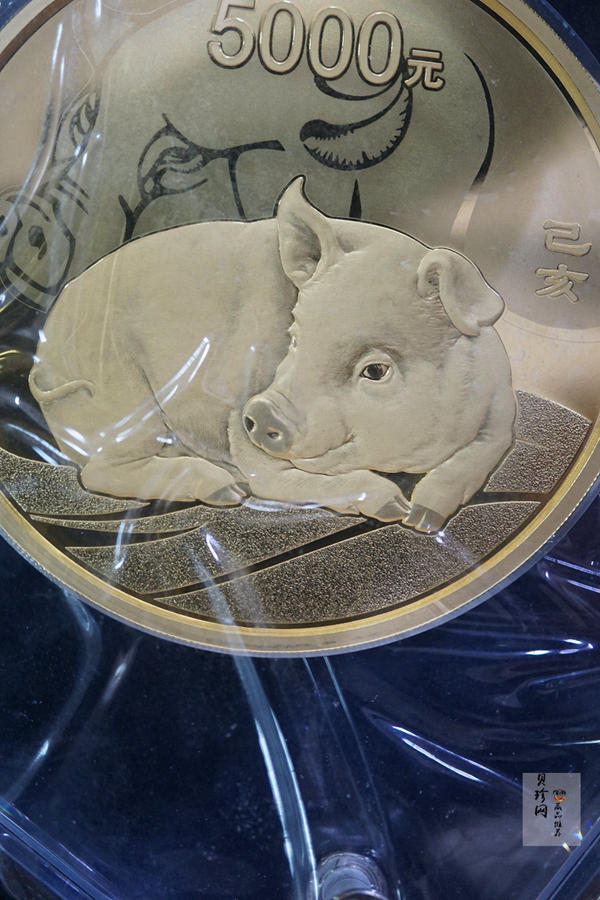 【191120】2019中国己亥（猪）年金银纪念币500克圆形金币