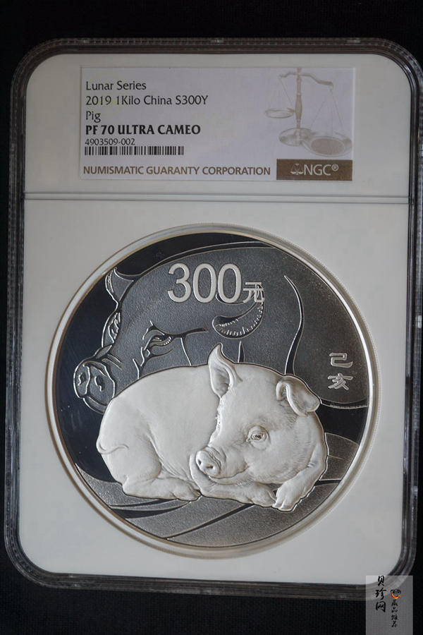【191115】2019中国己亥（猪）年金银纪念币1公斤圆形银币