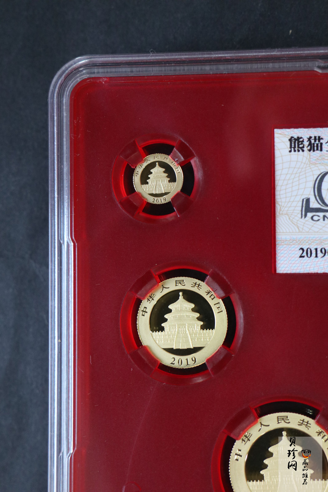 【199820】2019年熊猫套金猫5枚一套金榜题名高考版