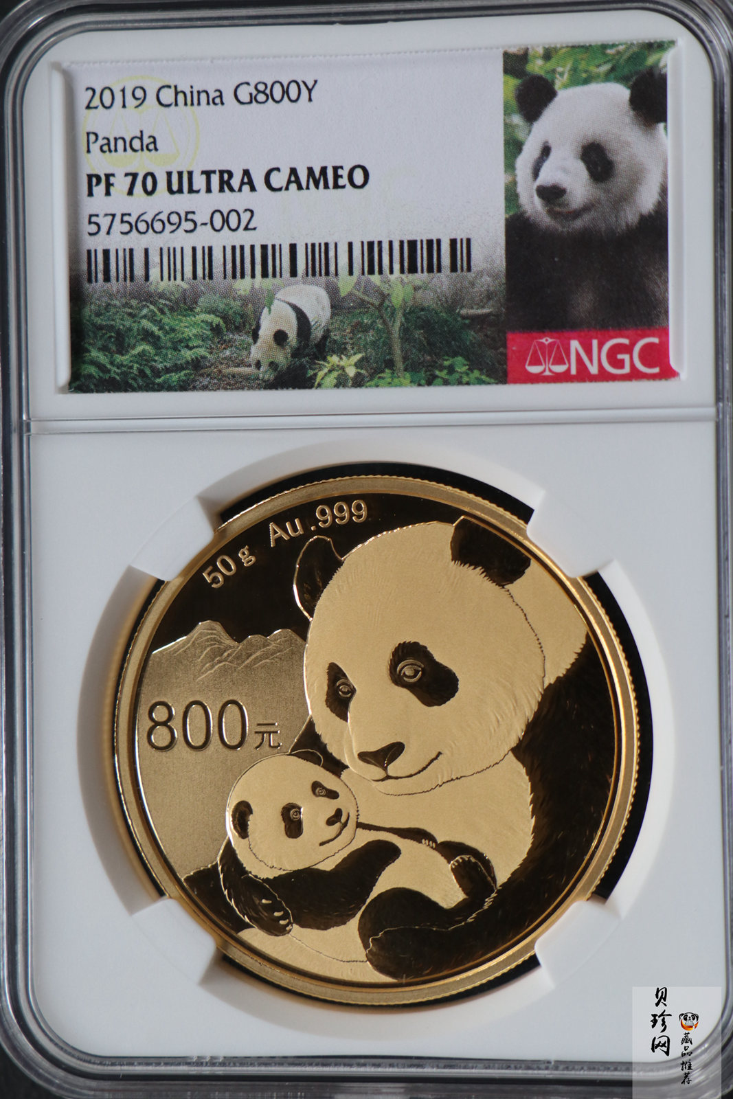 【190106】2019年熊猫50克圆形精制纪念金币