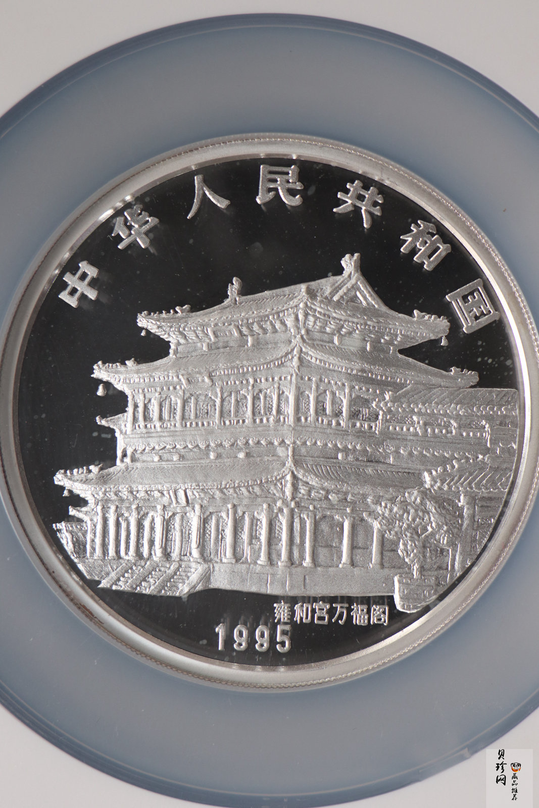 【950307】1995中国乙亥（猪）年-五猪图5盎司精制银币
