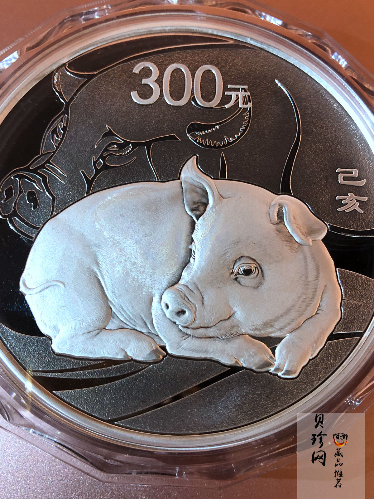 【194712】2019年中国己亥（猪）年金银纪念币1公斤圆形银币