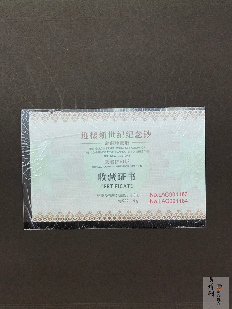 【009520】2000年迎接新世纪纪念钞金银珍藏册（微缩仿印版）