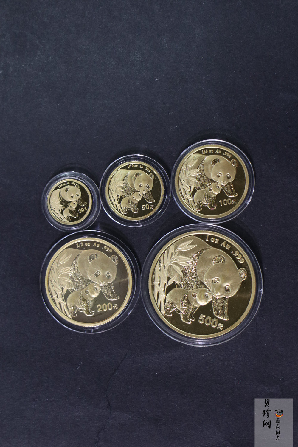 【049110】2004年熊猫普制金币5枚一套