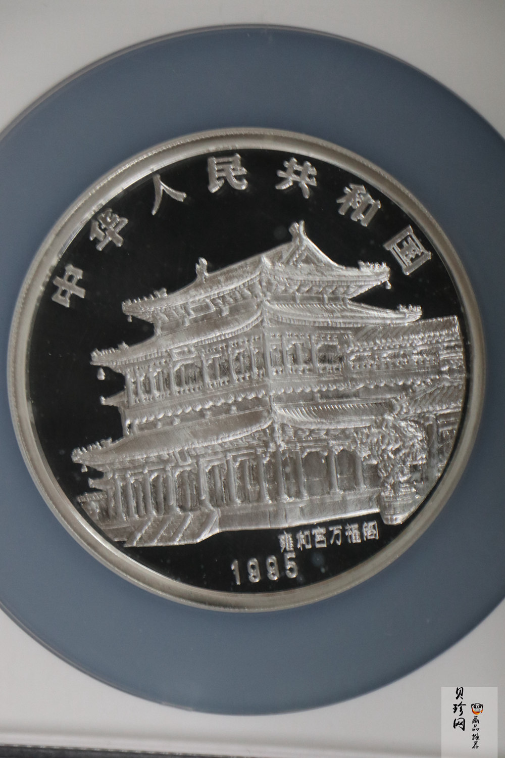 【950307】1995中国乙亥（猪）年-五猪图5盎司精制银币