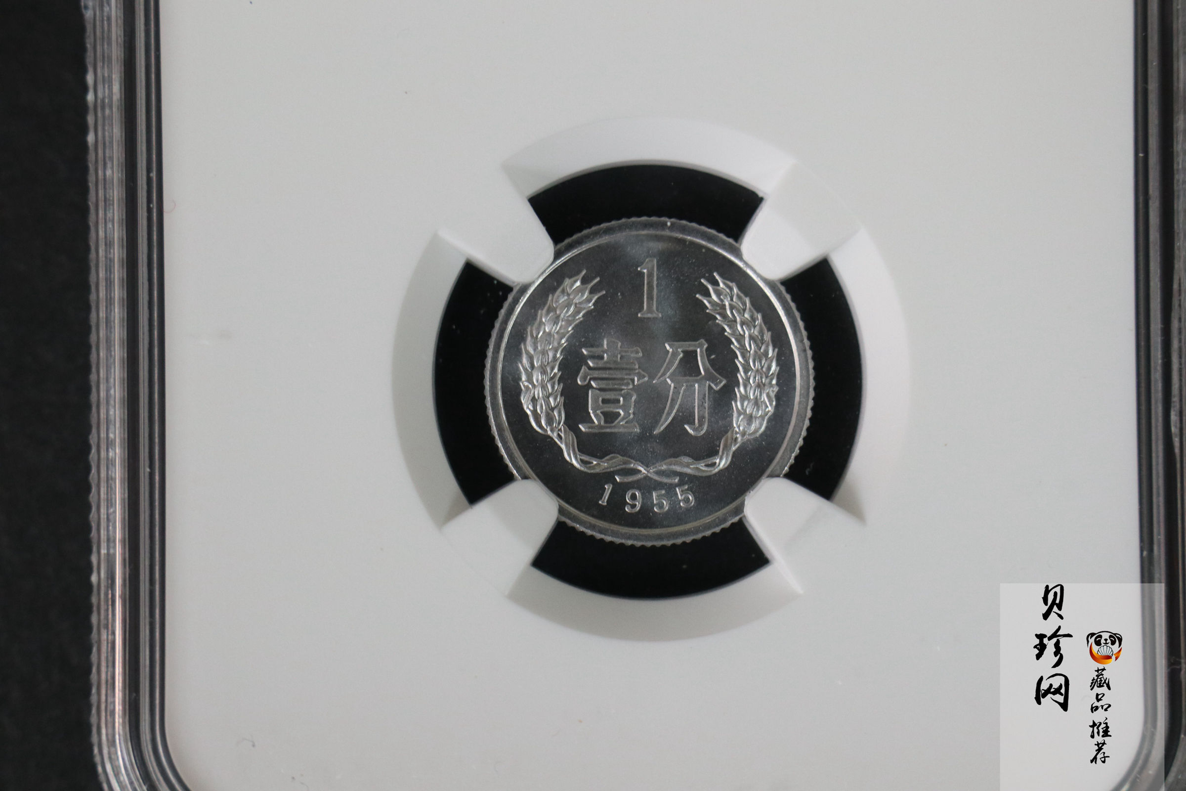 【559020】1955年中国硬币1分一枚