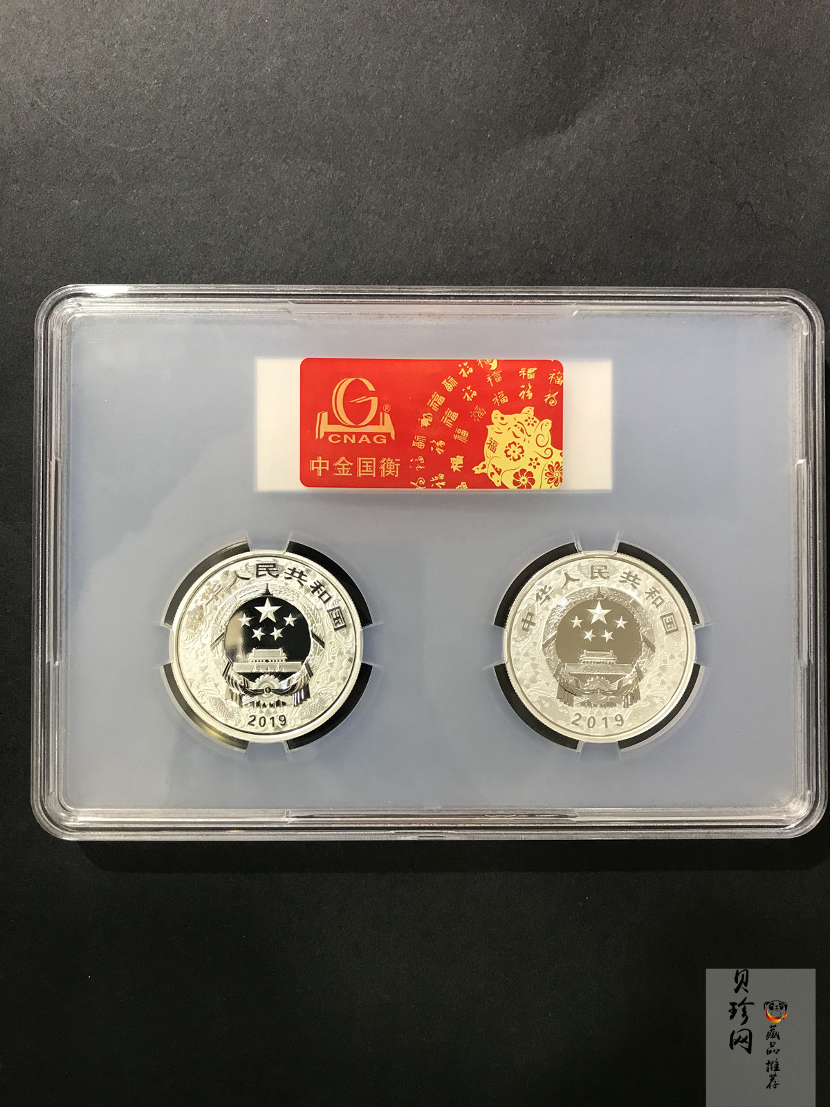 【199550】2019中国己亥（猪）年生肖精制彩银币+本银币两枚一套