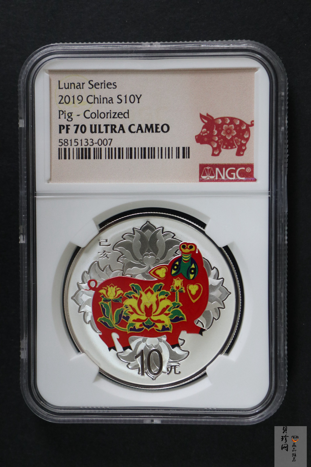【199050】2019中国己亥（猪）年生肖精制彩金银币2枚一套