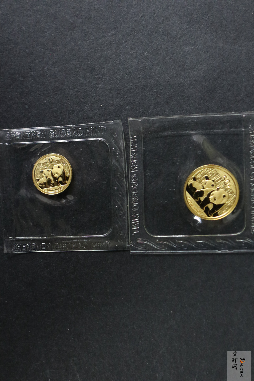 【109050】2010年熊猫普制金币5枚一套