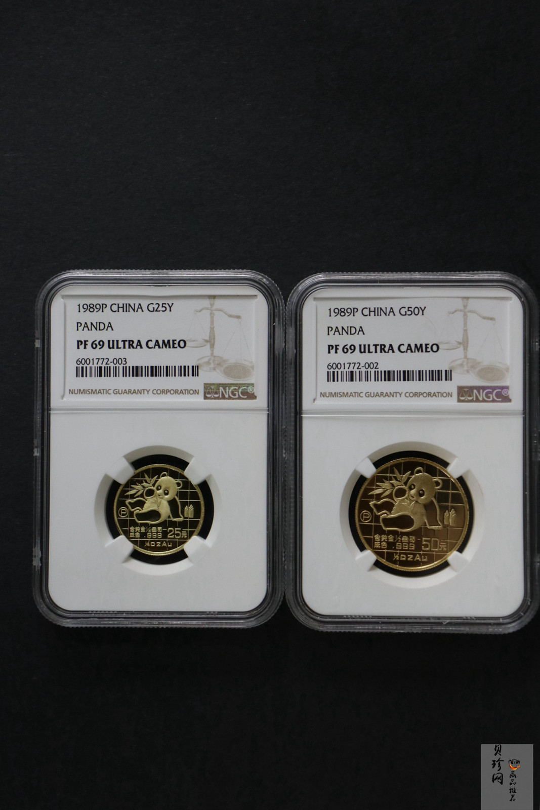 【899020】1989版熊猫精制金币五枚一套