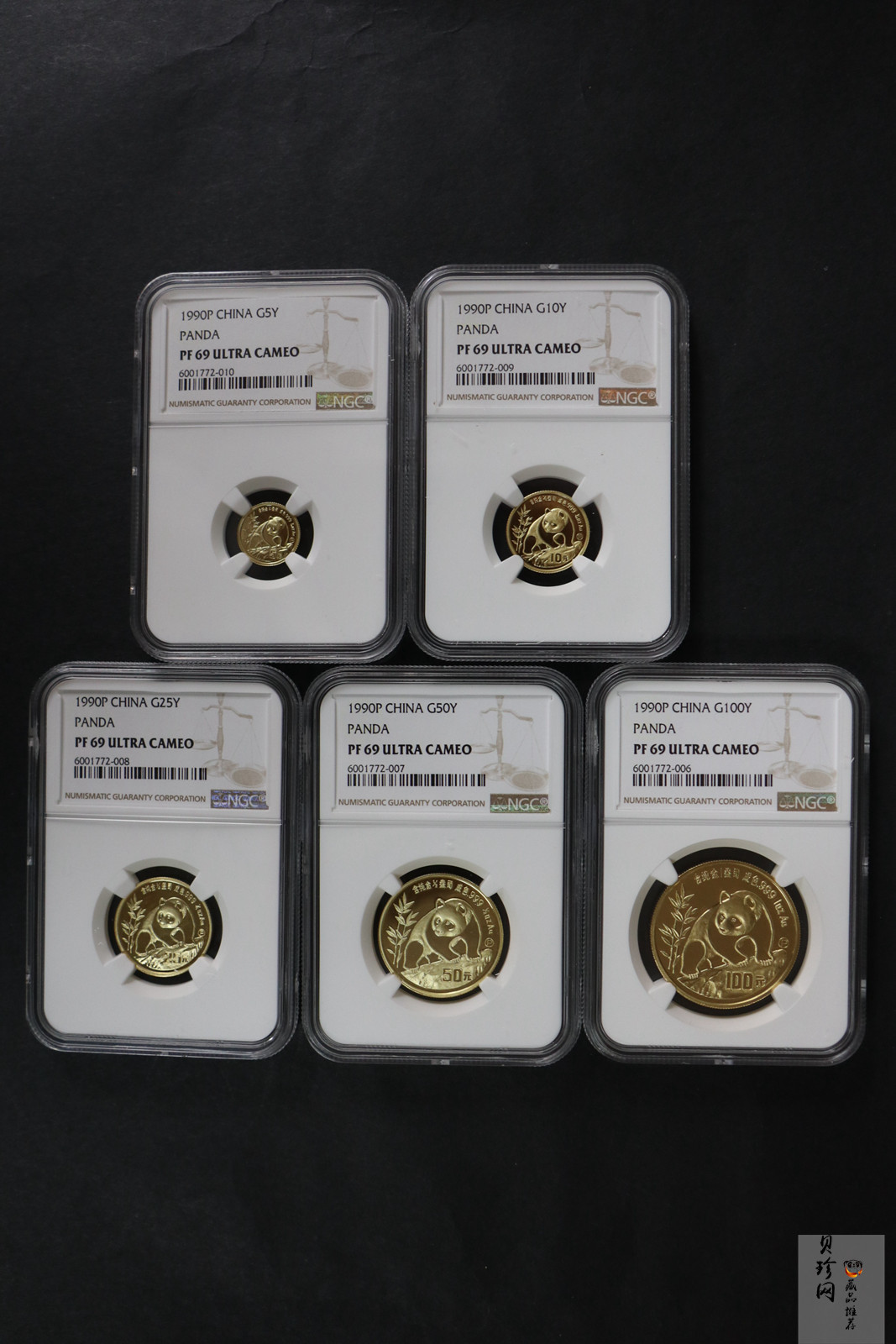【909020】1990版熊猫精制金币五枚一套