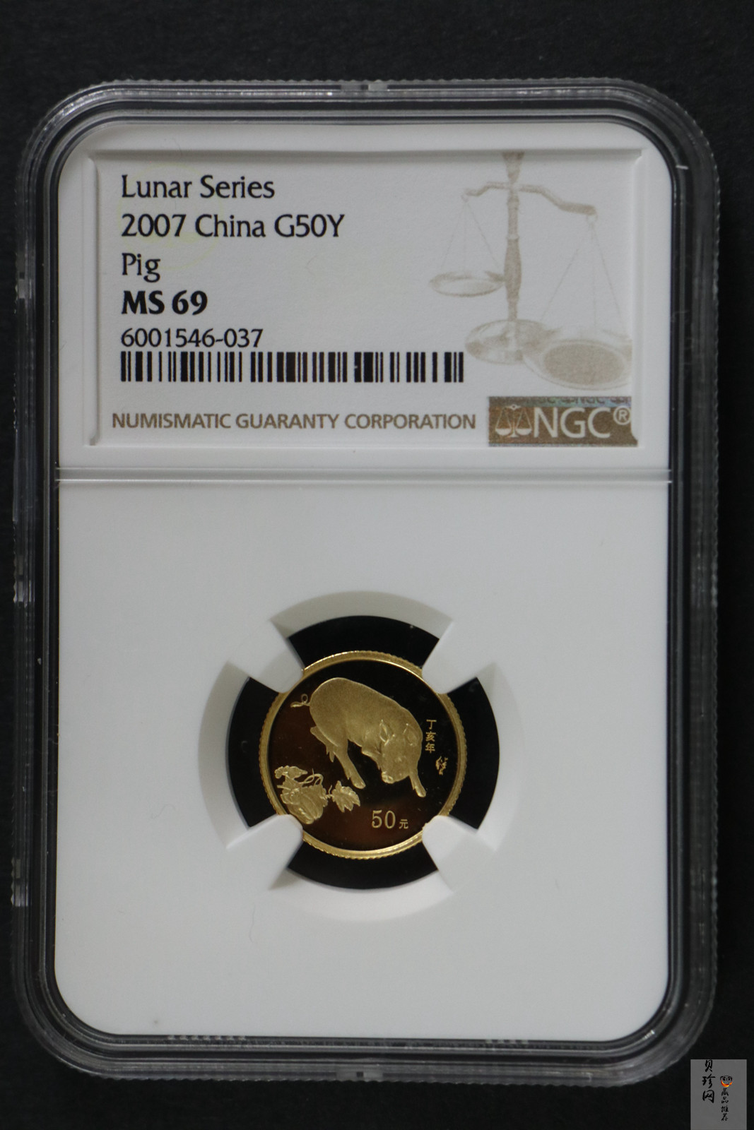 【061201】2007年丁亥猪年生肖1/10盎司普制金币