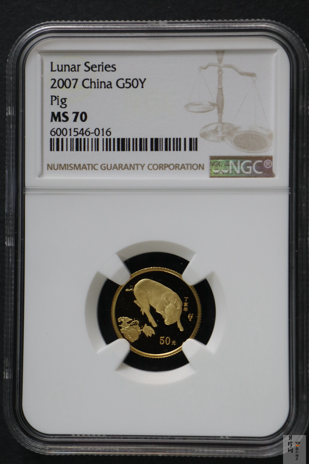 【061201】2007年丁亥猪年生肖1/10盎司普制金币
