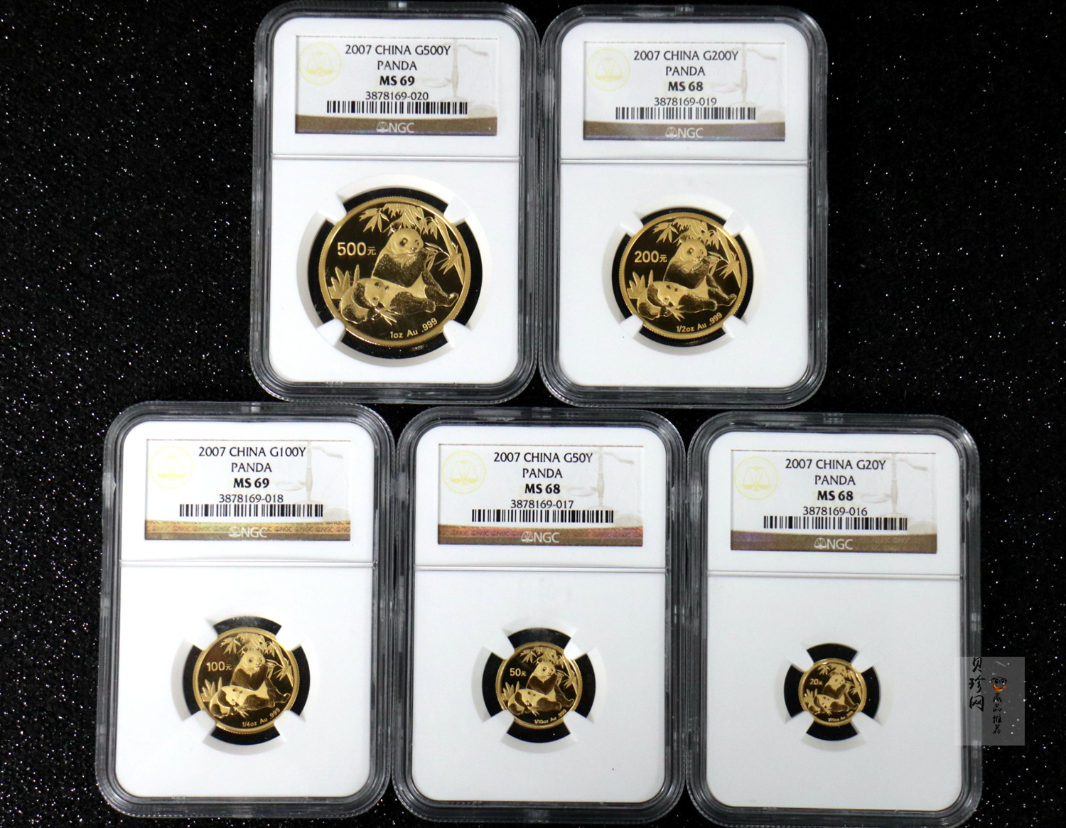 【079070】2007年熊猫普制金币5枚一套