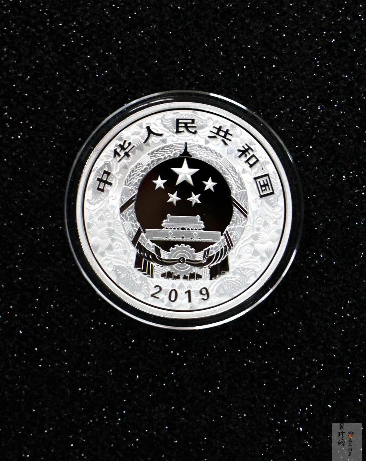 【199080】2019年中国己亥（猪）年本色金银币