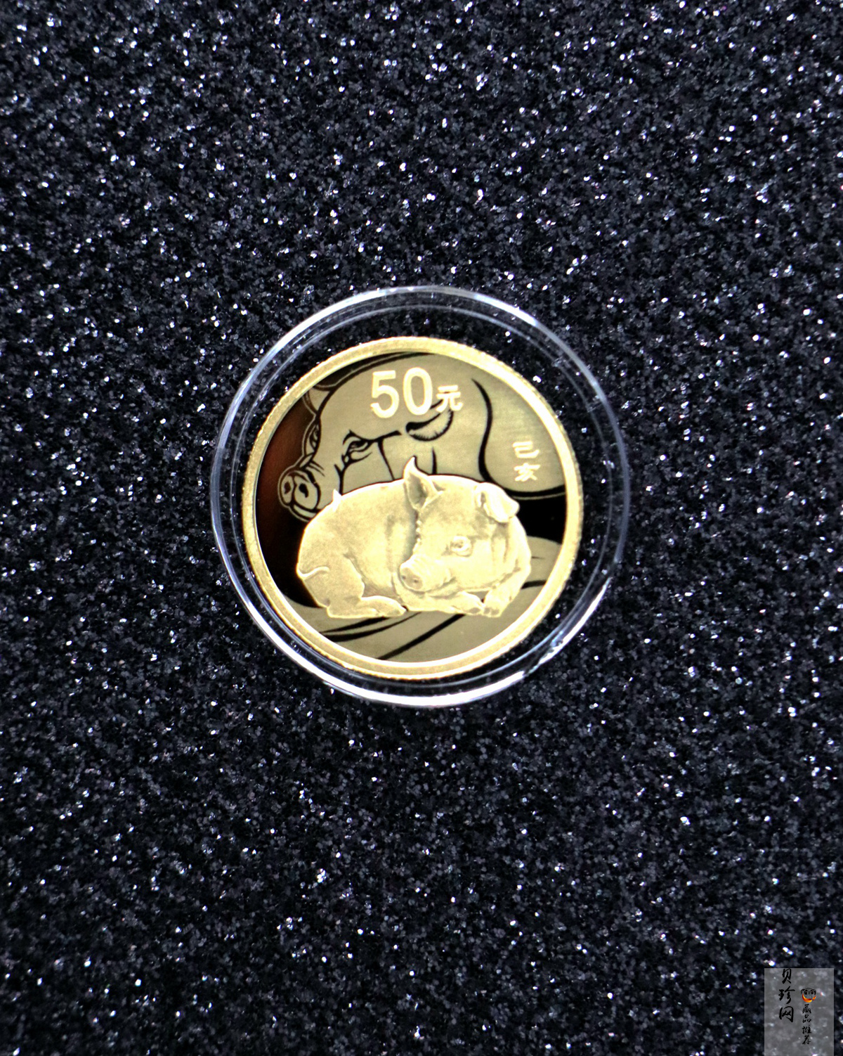 【199080】2019年中国己亥（猪）年本色金银币