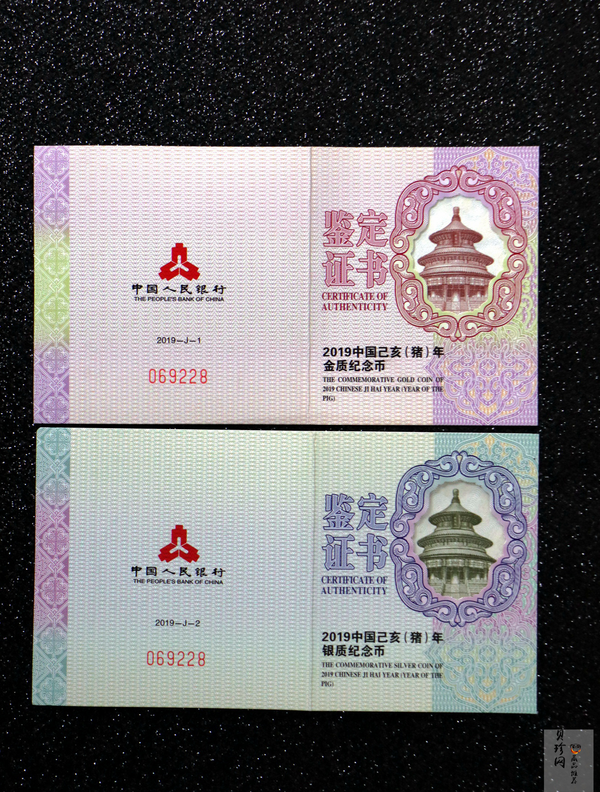 【199080】2019年中国己亥（猪）年本色金银币