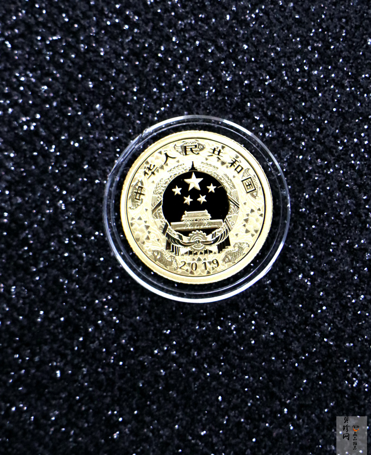 【199080】2019年中国己亥（猪）年本色金银币
