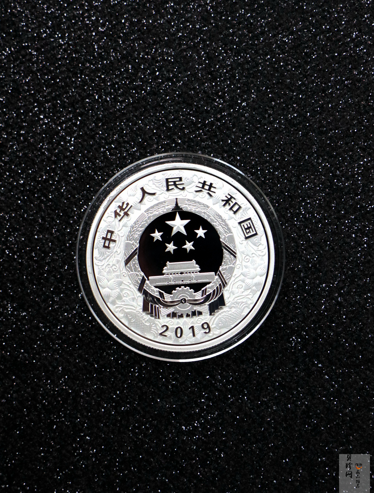 【199080】2019年中国己亥（猪）年本色金银币