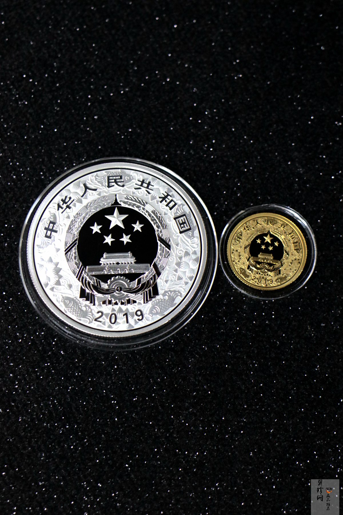 【199040】2019中国己亥（猪）年生肖精制金银币2枚一套