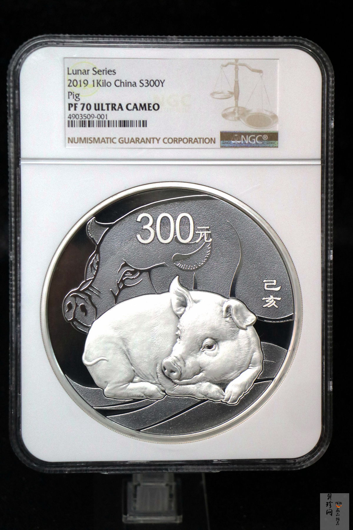 【194712】2019年中国己亥（猪）年金银纪念币1公斤圆形银币