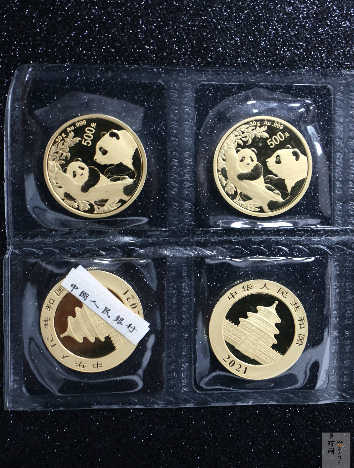 【210101】2021年熊猫30克普制金币