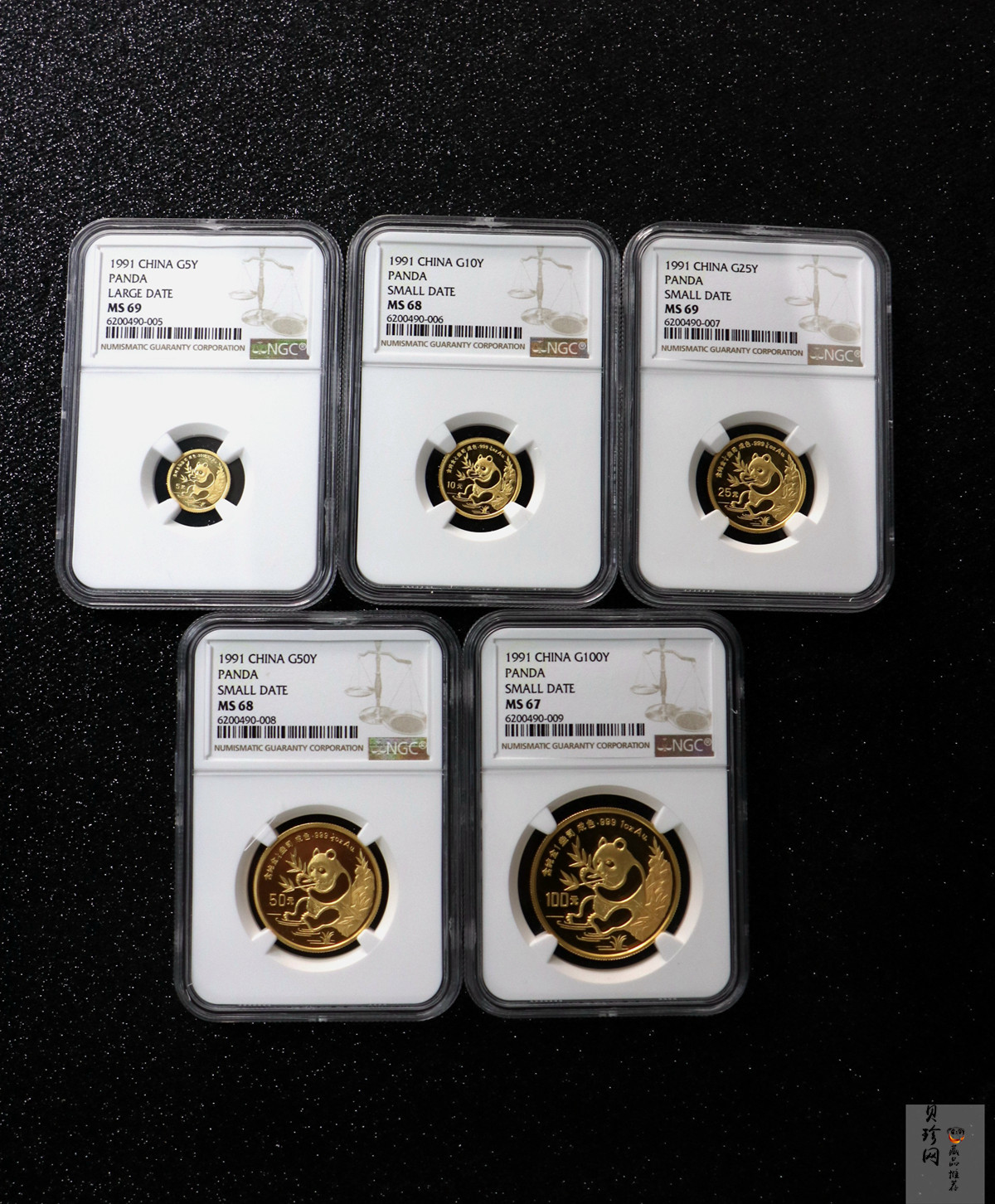 【919240】1991版熊猫普制金币五枚一套