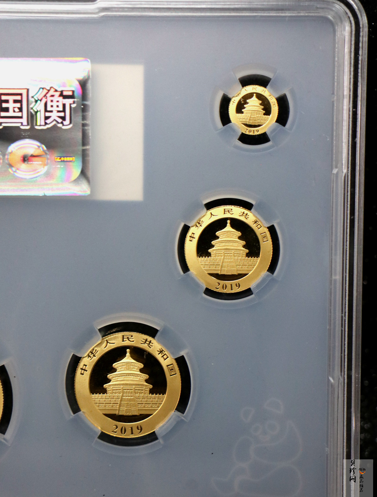【199030】2019年熊猫套金猫5枚一套