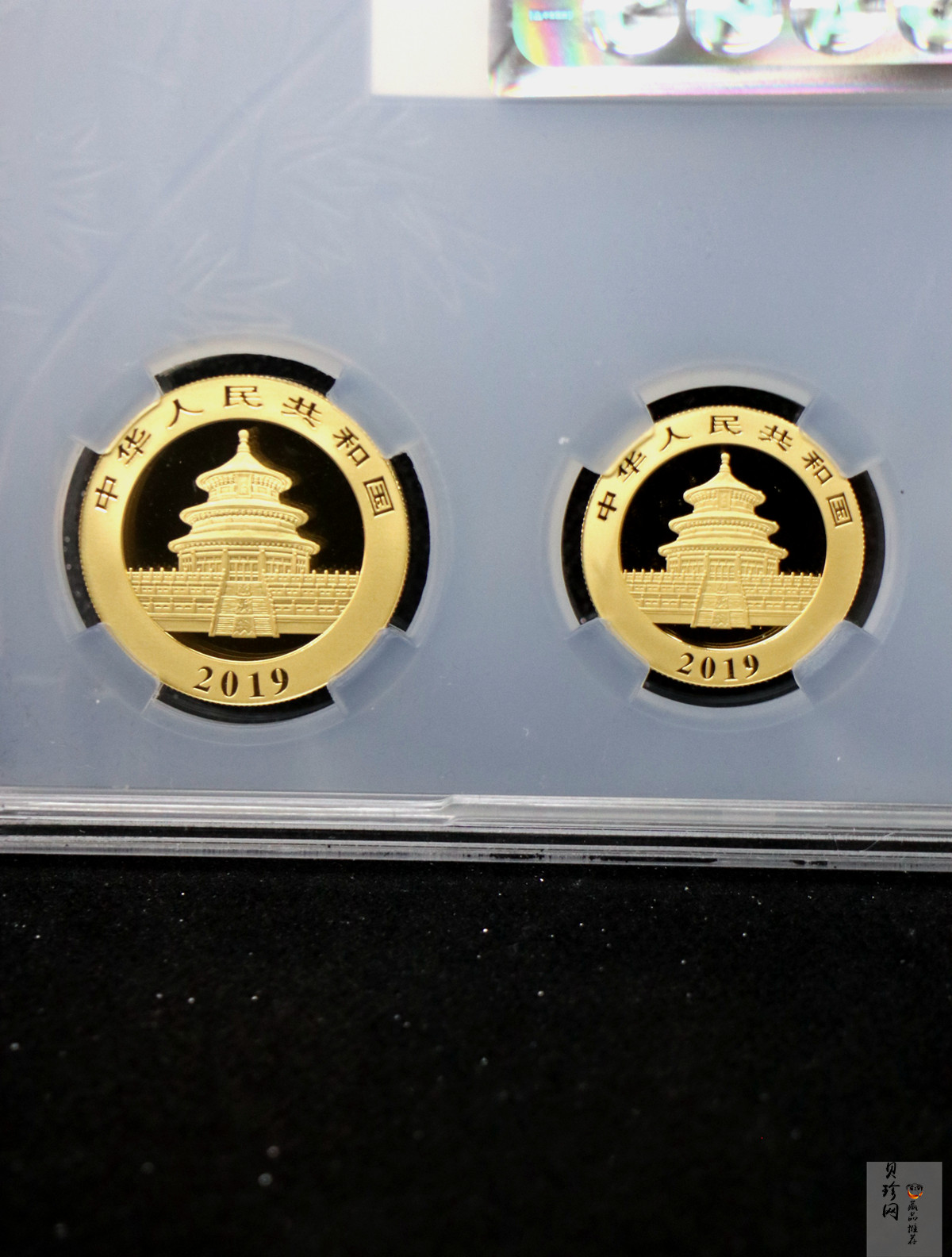【199030】2019年熊猫套金猫5枚一套
