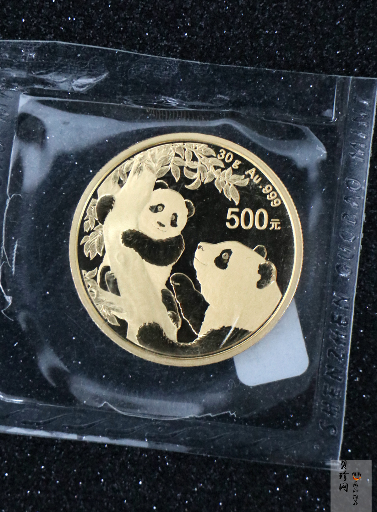 【210101】2021年熊猫30克普制金币