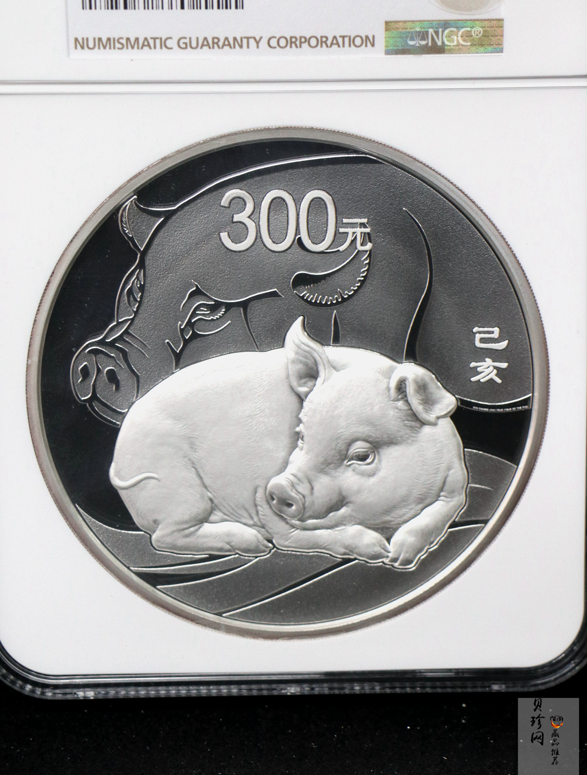 【191115】2019中国己亥（猪）年金银纪念币1公斤圆形银币