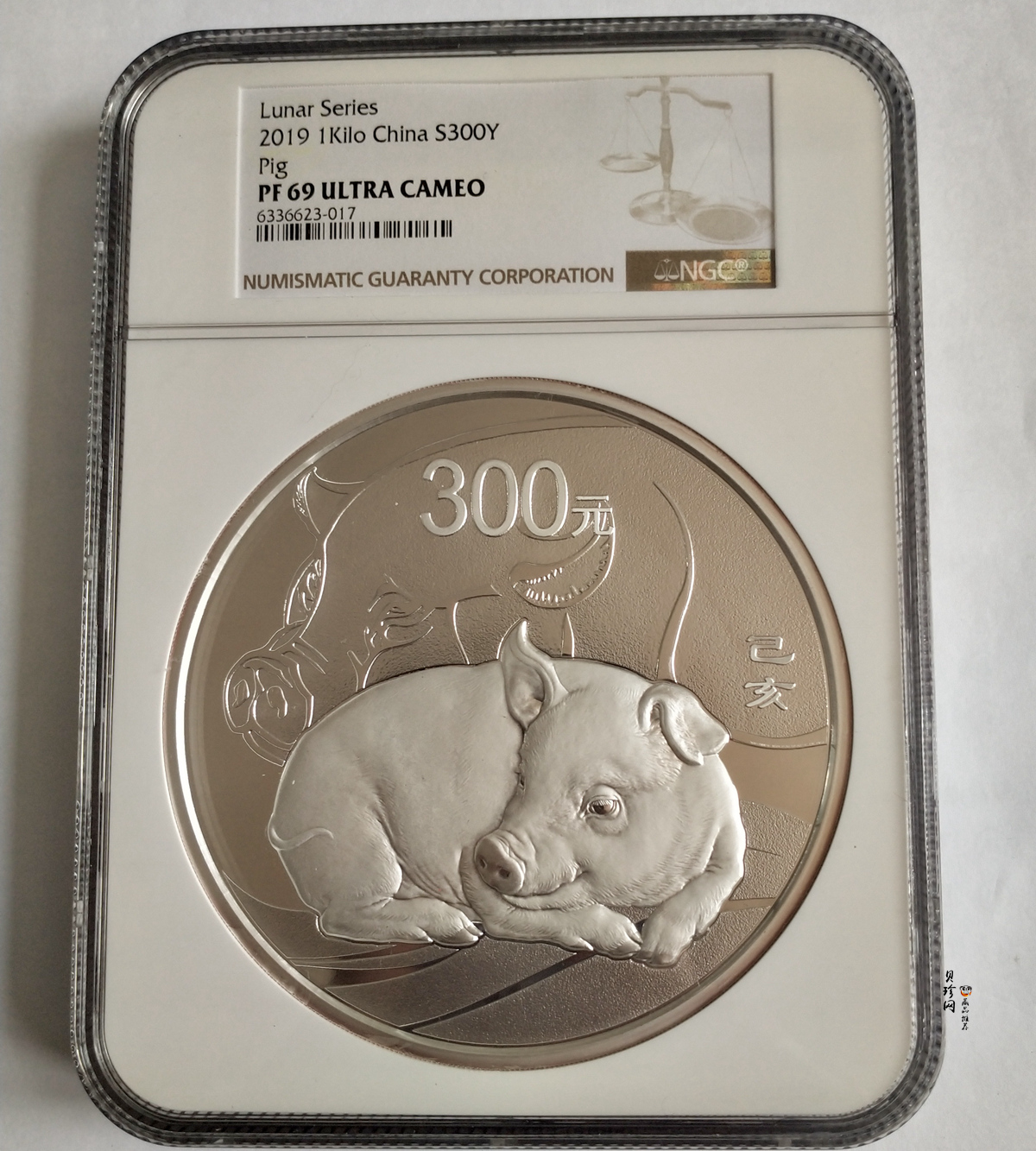 【194712】2019年中国己亥（猪）年金银纪念币1公斤圆形银币